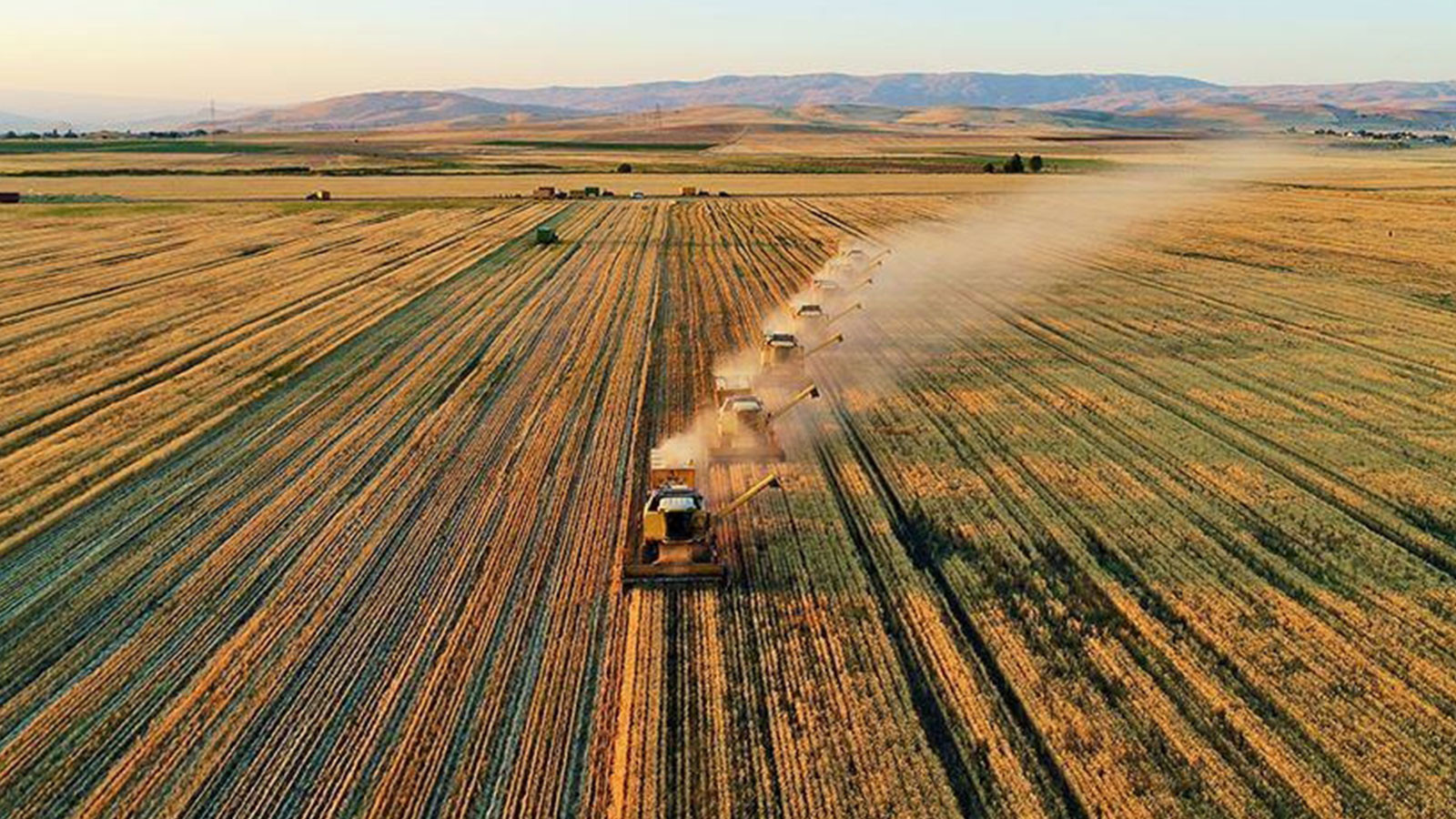 Tarımsal girdi fiyatları temmuzda yükselişe geçti