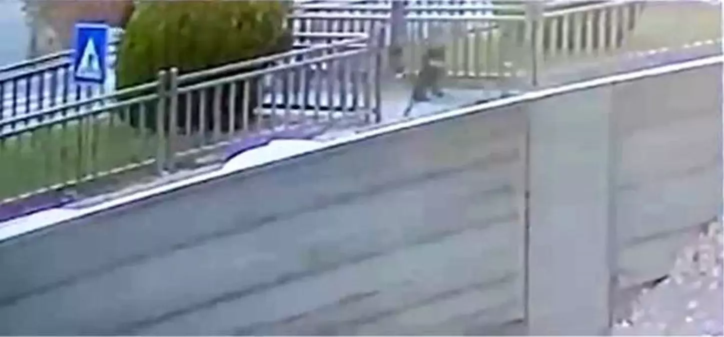 Elazığ’da Yola Fırlayan Çocuk Kazadan Son Anda Kurtuldu
