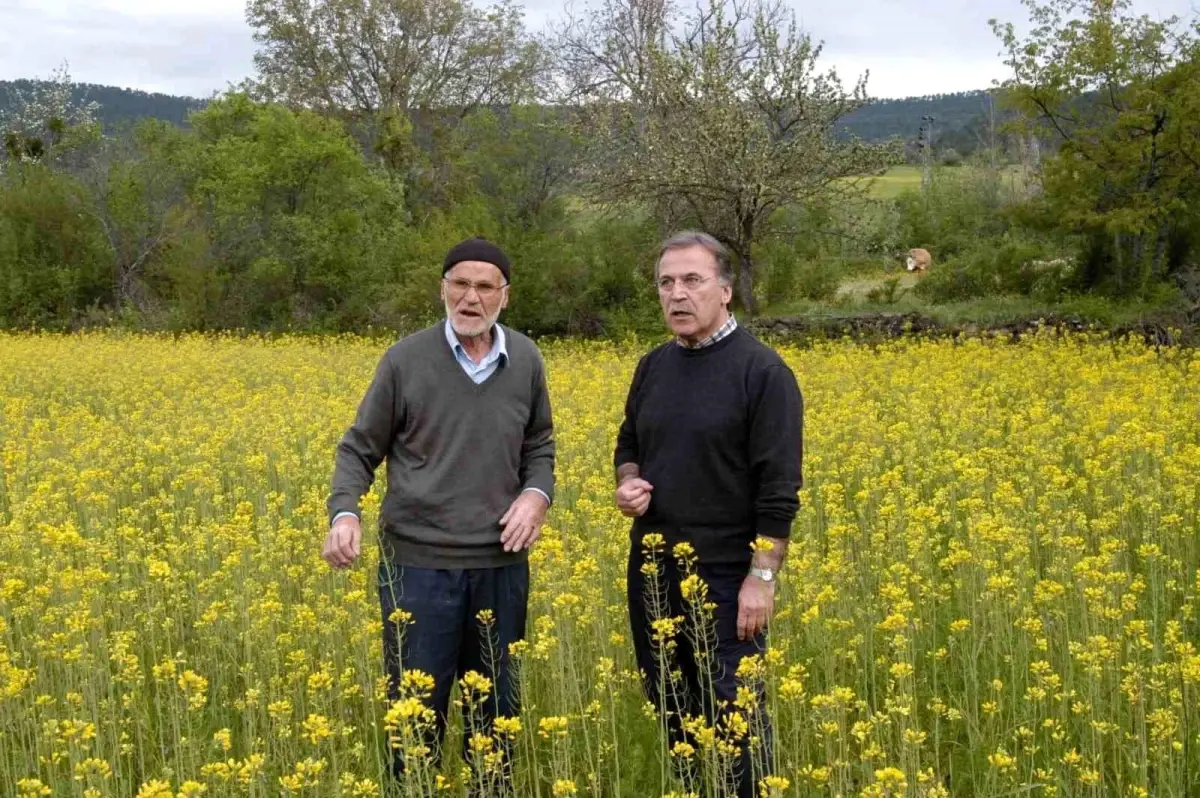 Abdullah Şahin Hayatını Kaybetti, Cenazesi 25 Ekim’de Abdullah Şahin Hayatını Kaybetti, Cenazesi 25 Ekim’de