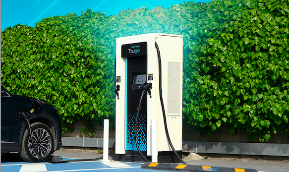 Trugo, enerji satışında pazar liderliğini sürdürüyor Trugo, enerji satışında pazar liderliğini sürdürüyor