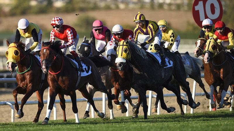 Ankara’da 45’inci Cumhuriyet ve 87’nci Koşu Gerçekleşti Ankara’da 45’inci Cumhuriyet ve 87’nci Koşu Gerçekleşti