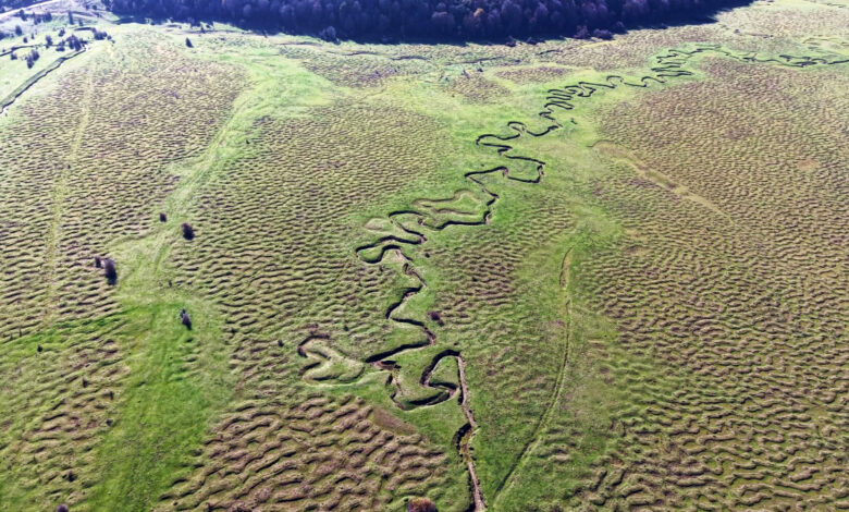 Karagöl Yaylası’nın Doğal Güzellikleri Havadan Görüntülendi Karagöl Yaylası’nın Doğal Güzellikleri Havadan Görüntülendi