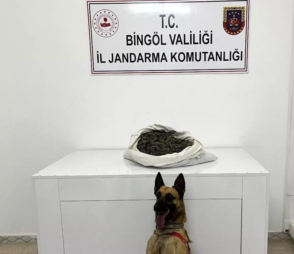 Bingöl’de Jandarma Operasyonu: 2 Kilo 802 Gram Esrar Ele Bingöl’de Jandarma Operasyonu: 2 Kilo 802 Gram Esrar Ele