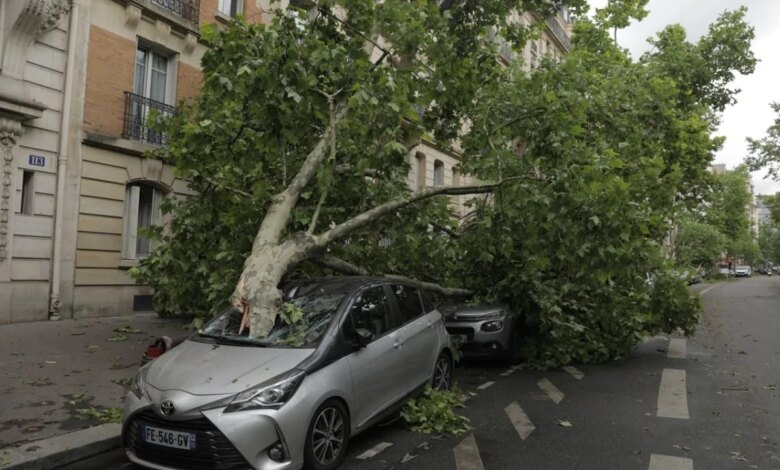 Fransa’da Benjamin Fırtınası Nedeniyle Parklar Kapatıldı Fransa’da Benjamin Fırtınası Nedeniyle Parklar Kapatıldı