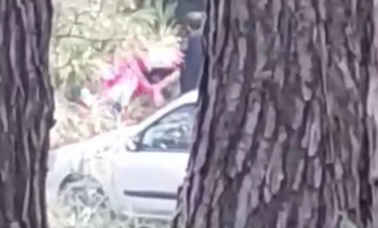 İzmir’de Ormanlık Alanda Kadına Yönelik Şiddet Olayı